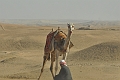 11 02 13_Egypt_0319_edited-1